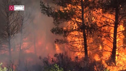 El incendio en la Sierra de la Calderona afecta ya a un millar de hectáreas