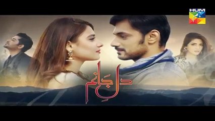 Dil e Jaanam Episode 18 HUM TV Drama - 30 June 2017