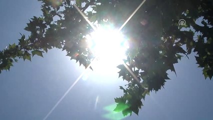Aydın'da Sıcak Hava