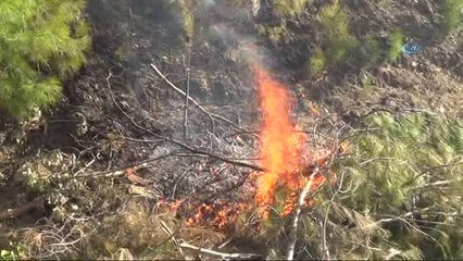 Alanya'da Çıkan Orman Yangında 5 Ev Küle Döndü