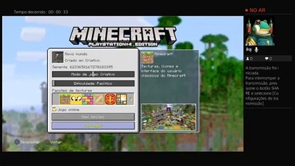 Minecraft com meu amigo (11)