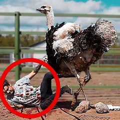 VID-20170630-WA0003[1]