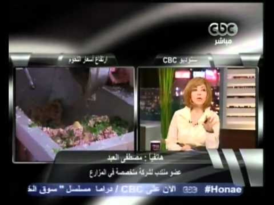 مواجهة بين صاحب مبادرة الاكتفاء الذاتي من اللحوم والشركات الانتاج