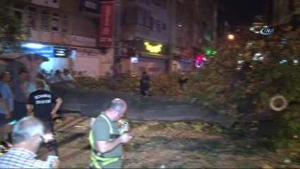 Kadıköy'de Asırlık Ağaç, Kafenin Üzerine Devrildi: 2 Yaralı