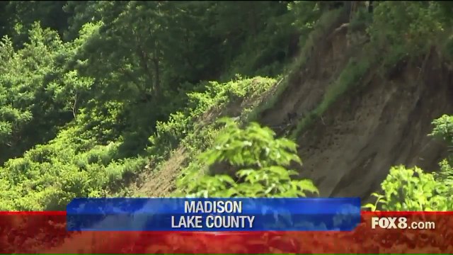 Firefighters Rescue Dog Who Fell Down Steep Embankment Along Lake