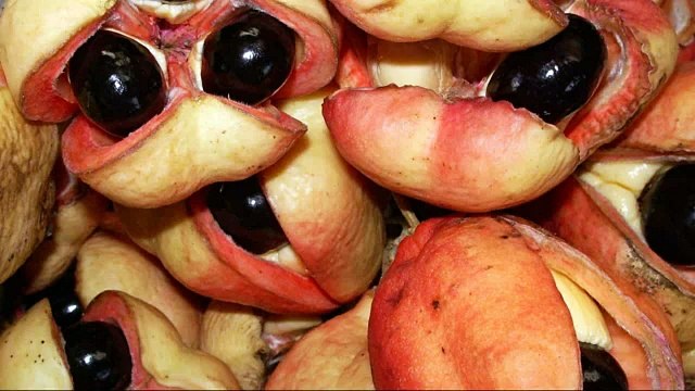 How to make the Jamaican breakfast dish; Johnny cakes._sd_STREAM