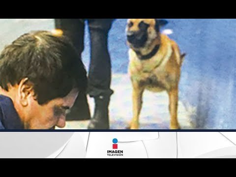 Así vive El Chapo en la cárcel de Nueva York | Imagen Noticias con Ciro Gómez Leyva