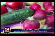 Conozca los beneficios nutritivos del rabanito