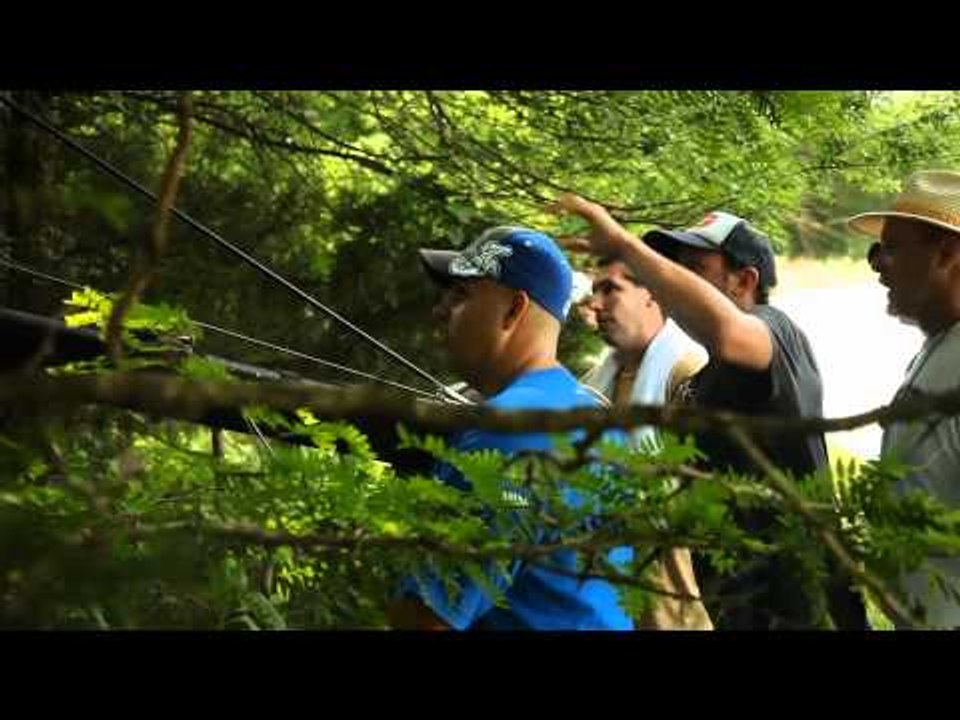 Chicken and Biscuits - Behind the Scenes