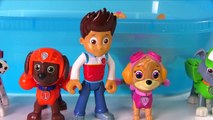 Paw Patrol Wrong Hats Match Colors Eat M&Ms Candy Learning Video for Children | Fizzy Fun