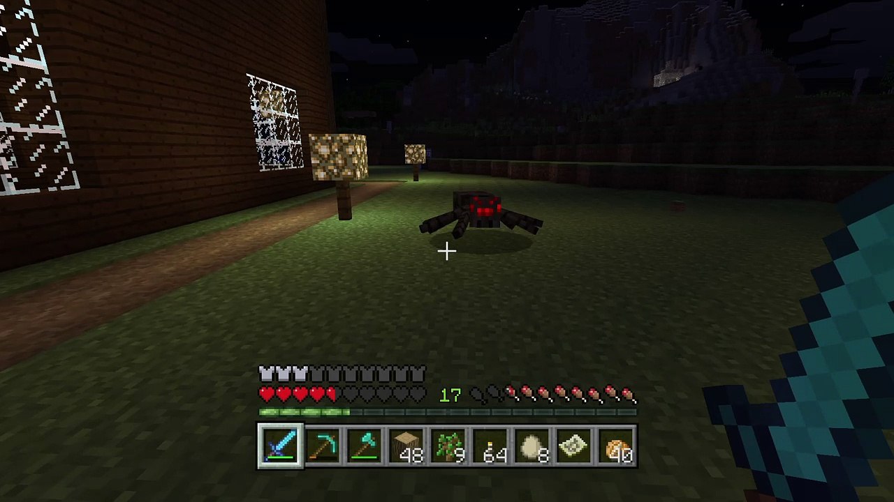 Minecraft: PlayStation®4 Edition_20170629202417