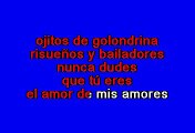 Joan Sebastian - Ojitos de golondrina (Karaoke)