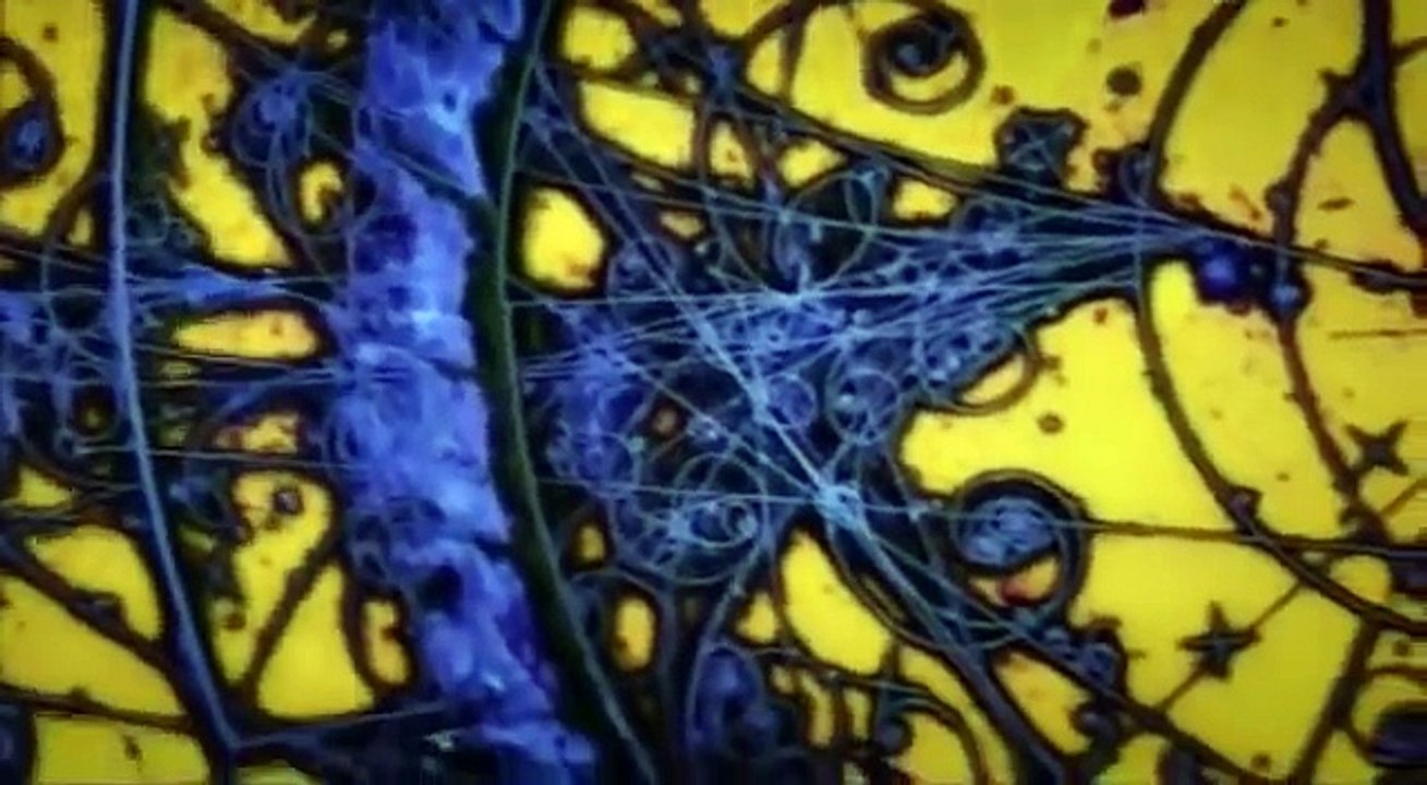 Documentaire Voyage dans l'espace temps Peut on voyager dans le temps Morgan Freeman