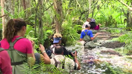 Dans les Everglades, vétérans et jeunes se reconstruisent