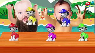 Bad Baby Crying with Paw Patrol To Learn Colors Video for Children Kids Toddler Video