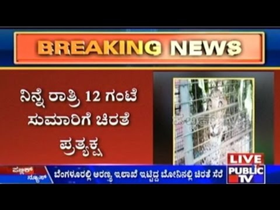 Bangalore : Cheetah Again???