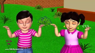 Two little dicky birds - 3D Animation English Nursery rhymes for children