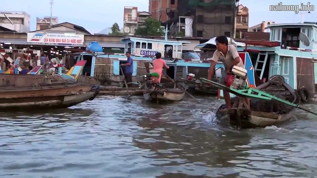Cô Lái Đò - Minh Cảnh & Phượng Liên