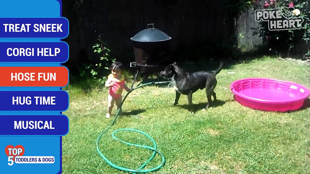 Top 5 Adorable Toddlers and Cute Puppies