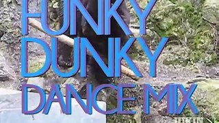 Funky Dunky Dance Mix - JukinVideo