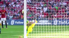 Ibrahimovic