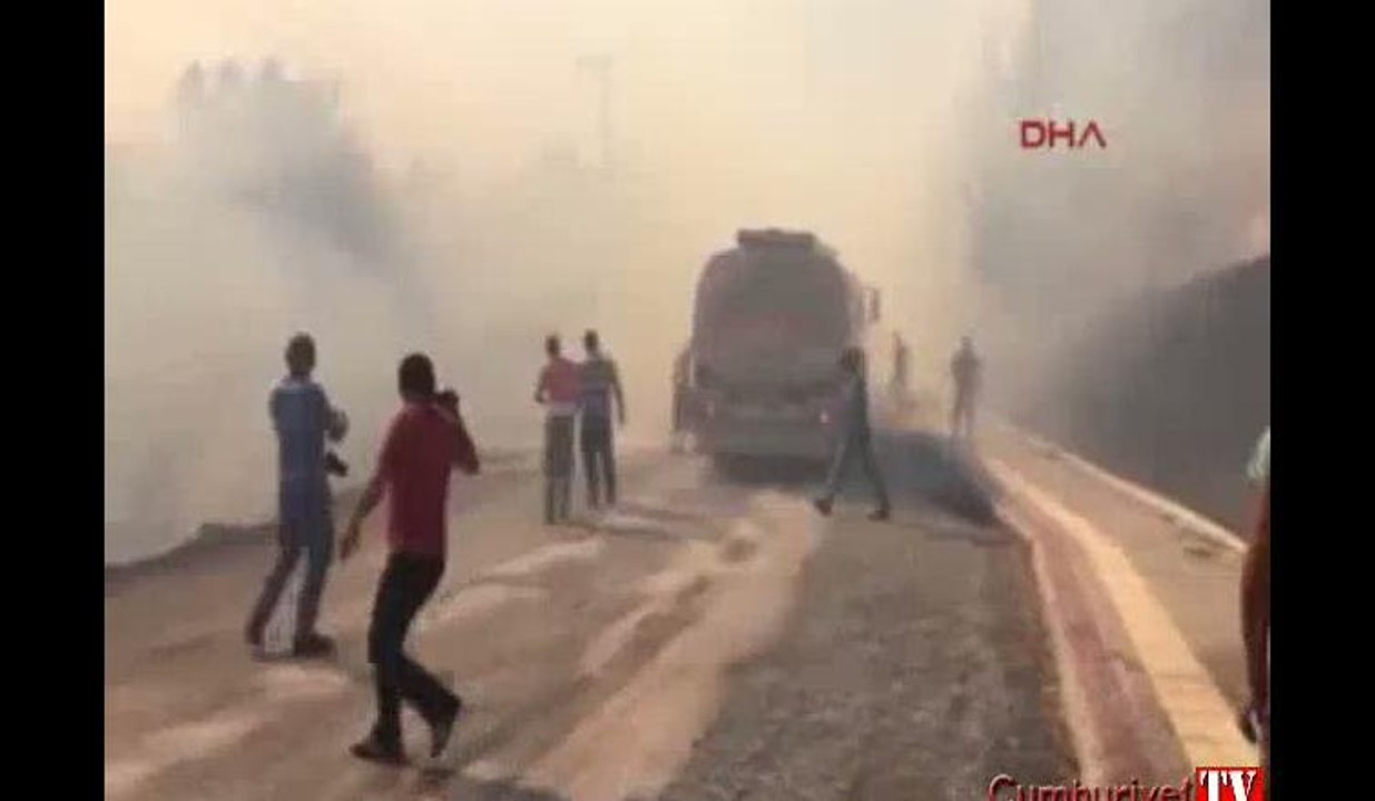 Alanya'da turistik bölgede makilik yangını