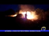Alta Murgia, a fuoco 100 ettari di terreno: incendio doloso
