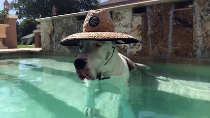 Un petit moment de détente?