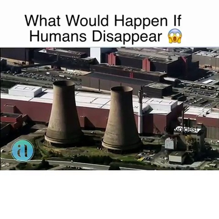 Whatsapp Clip Trending Videos 102