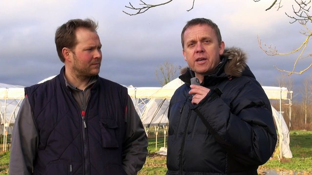 Réduction optimisation des doses phytosanitaires et engrais en maraichage par traitement de l'eau