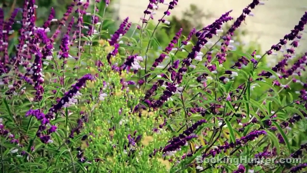 Orange, California Travel Guide - Must-See Attractions