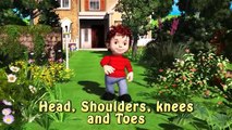 Head Shoulders Knees and Toes  Family Sing Along - Muffin Songs