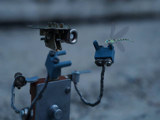Robot and dragonfly