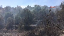 Antalya Alanya'da Turistik Bölgede Makilik Yangını 2
