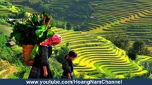 Beautiful Sapa Vietnam