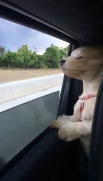 L'art de prendre l'air frais