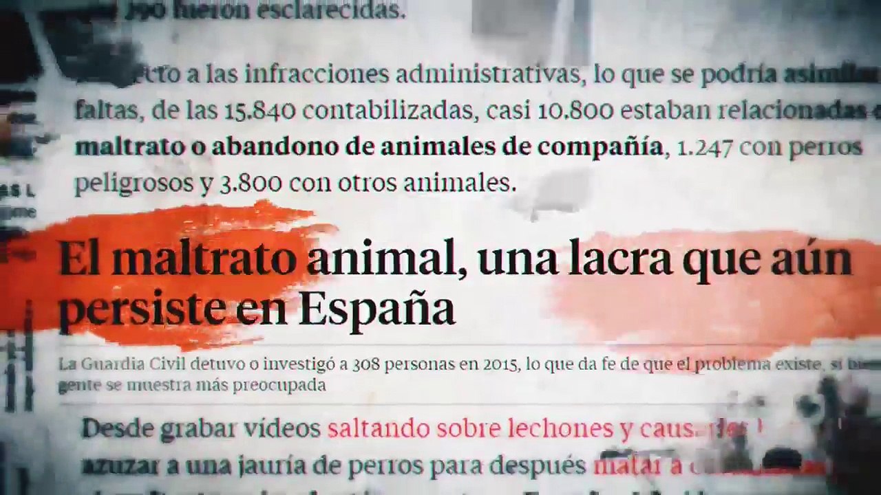 A Cara de Perro, con El Chatarrero Ep 3 "El CATAD y las peleas de carneros"