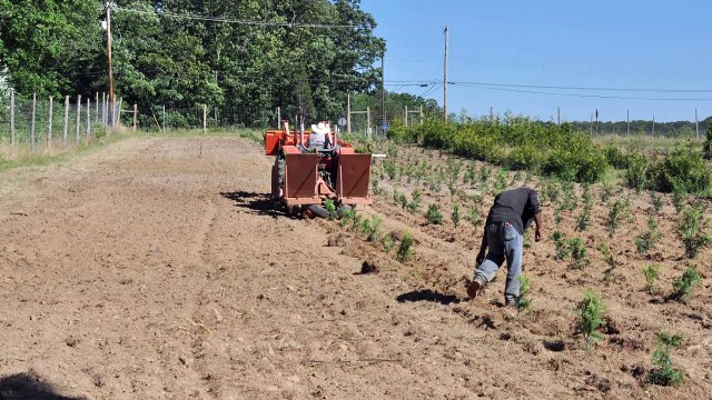 Netafim is a smart drip and Micro irrigation for Trees and Shrubs