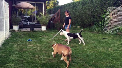 Jeu American staff avec le Flirt Pole