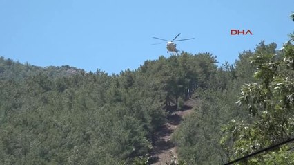 Antalya - Alanya Turistlik Bölgede Makilik Yangını 3