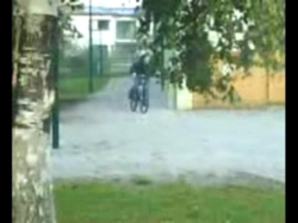 Fri goT pwneD by Kräuterspirale