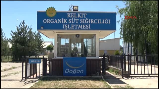Gümüşhane- Kelkit Organik Tarım ve Hayvancılık Festivali Başladı