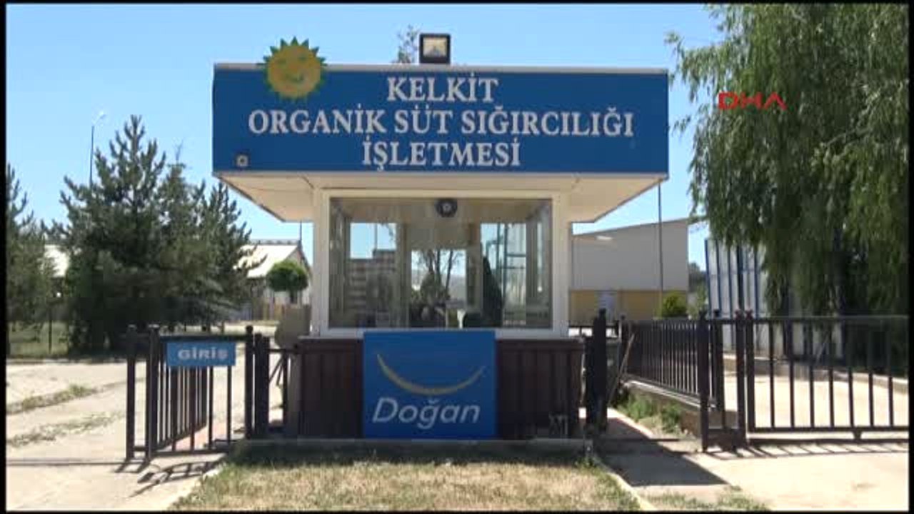 Gümüşhane- Kelkit Organik Tarım ve Hayvancılık Festivali Başladı