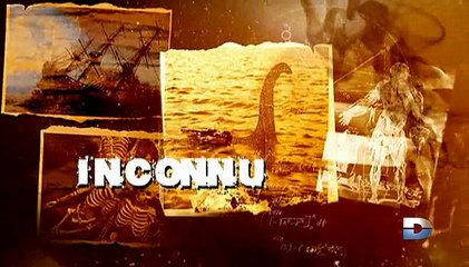 Bizarre ou quoi  [VF] - S01E09 - saison 1 - épisode 09 - Dailymotion (version internationale)