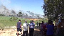 Antalya'da Arazi Yangını: 351 Küçükbaş Hayvan Telef Oldu