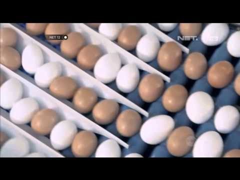 Makanan makanan Baik Untuk Sahur - NET12