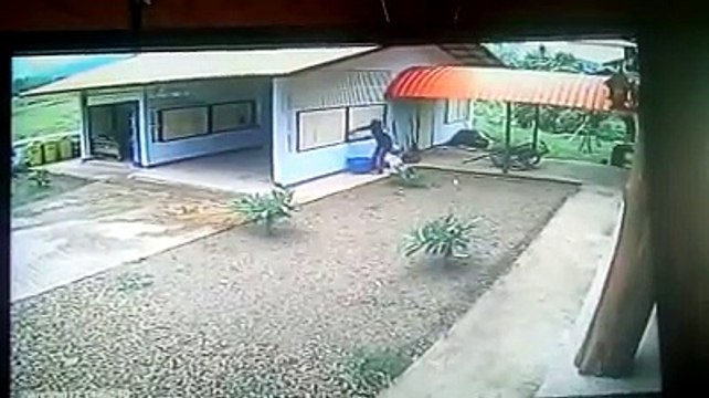 Oh le bon cambrioleur... Mais quel débile!!!