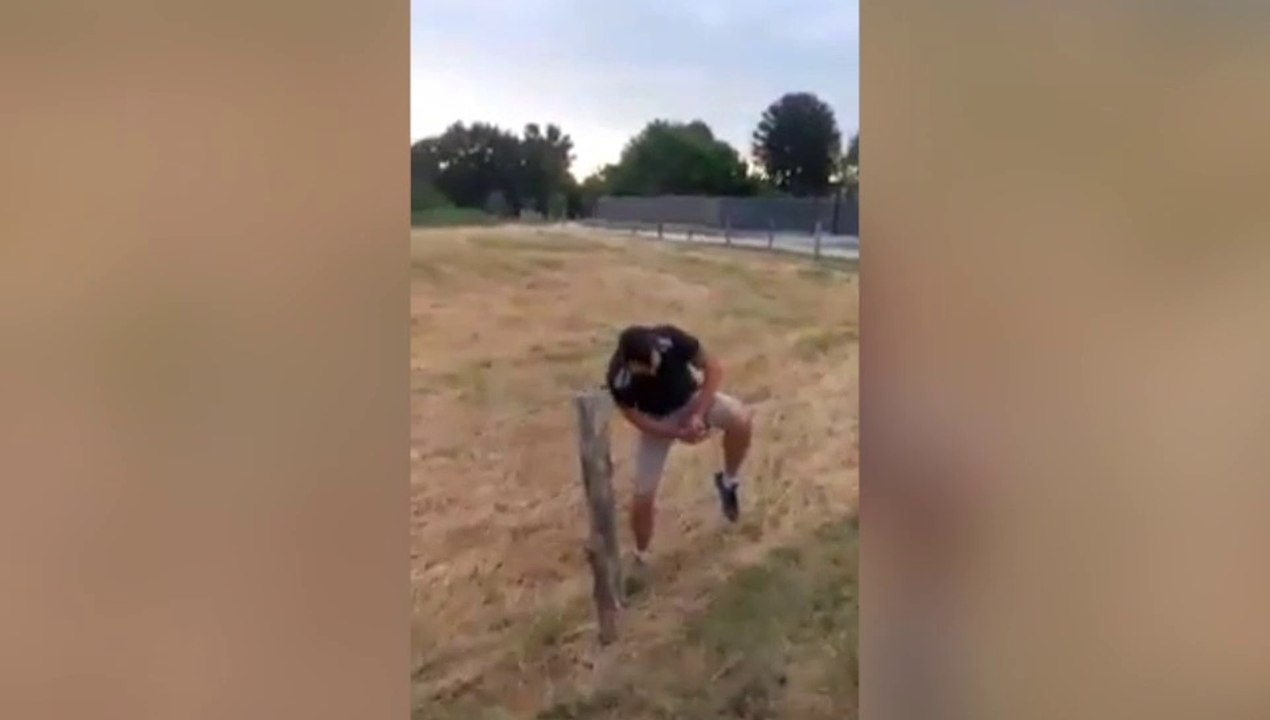 Il essaie de sauter une clôture de fils barbelés... FAIL
