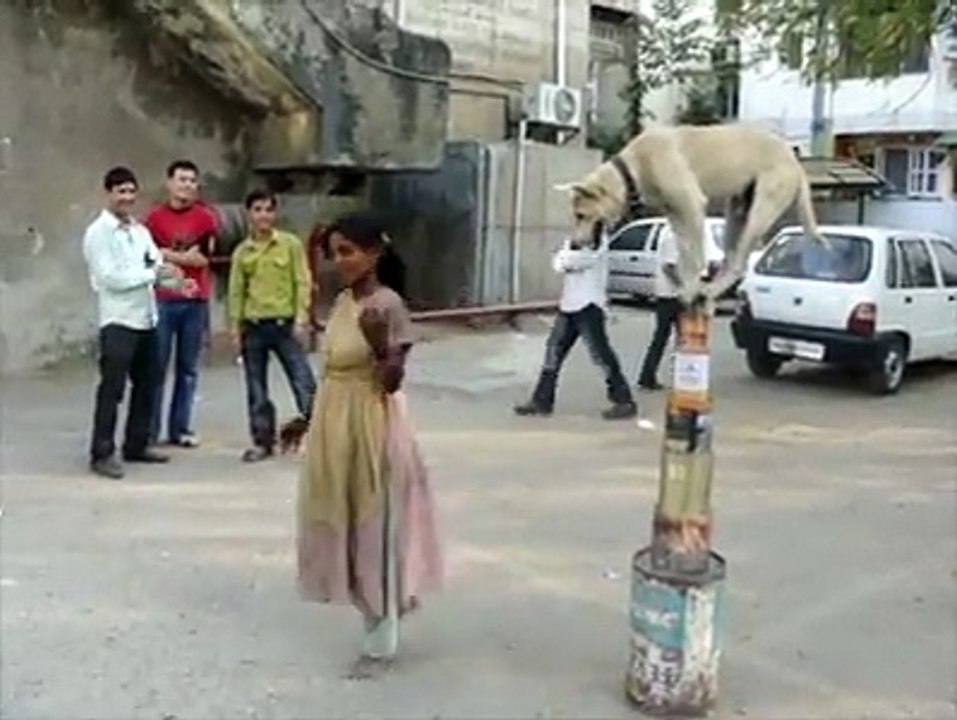 Amazing Circus By Slum Dogs