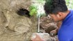 Amazing Frog Trap - How to Make Frog Trap With simple tricks Deep Hole